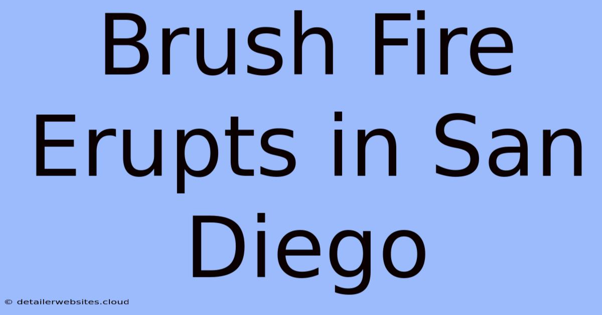 Brush Fire Erupts In San Diego