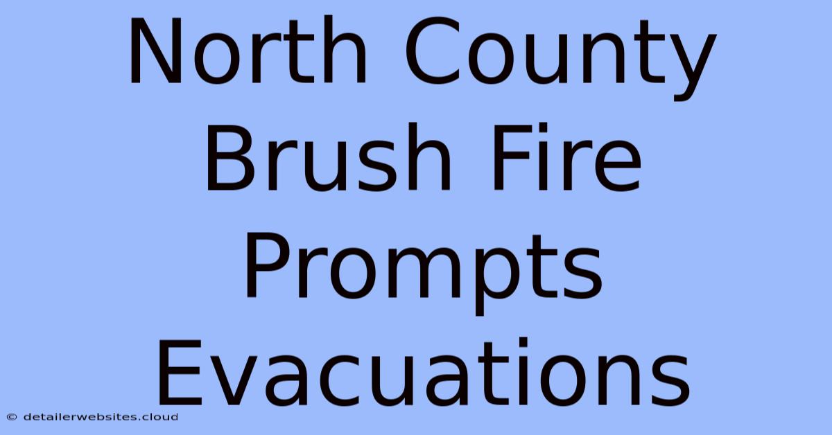 North County Brush Fire Prompts Evacuations