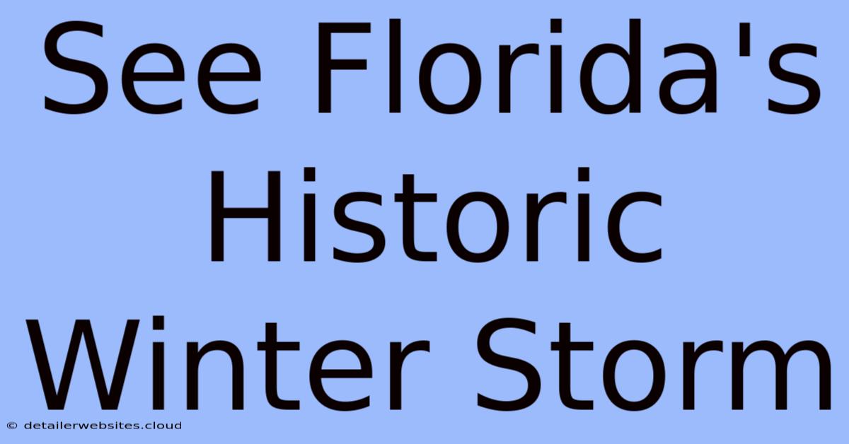 See Florida's Historic Winter Storm